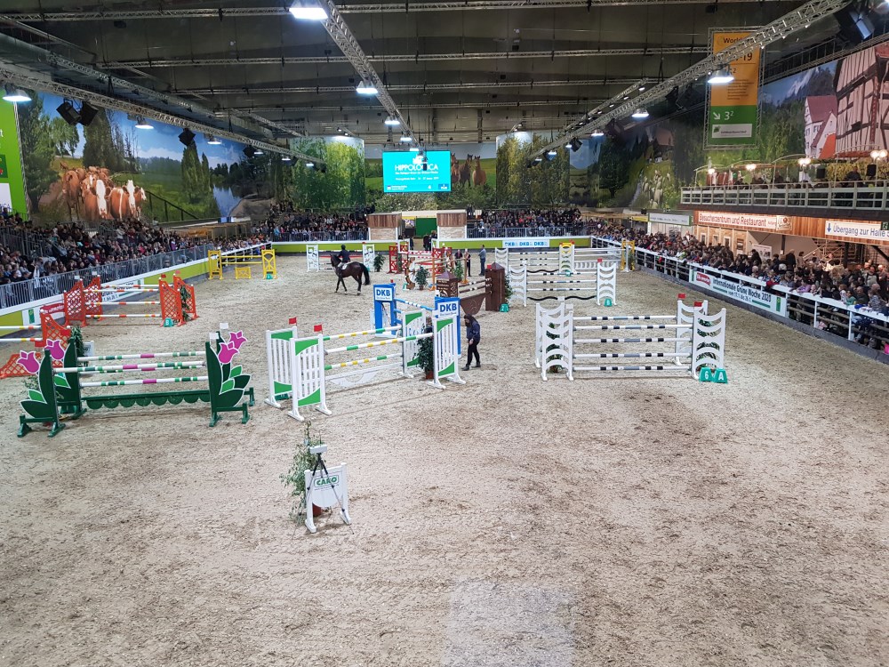 Reiten in Berlin und Brandenburg Detailansicht